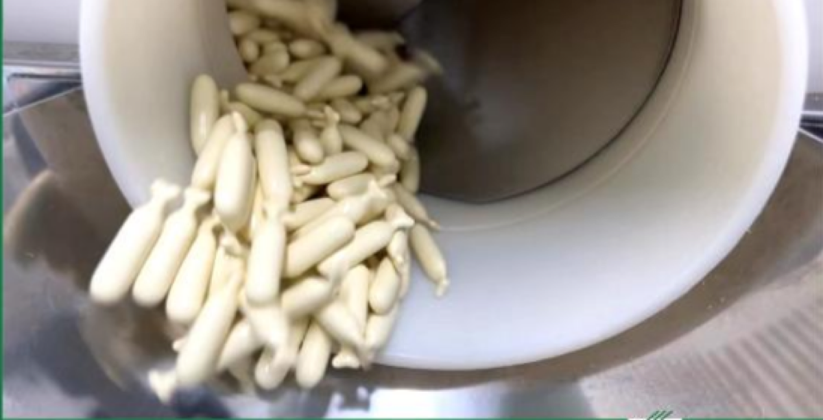 Softgel Capsule Manufacturing